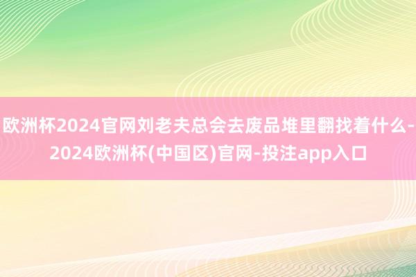 欧洲杯2024官网刘老夫总会去废品堆里翻找着什么-2024欧洲杯(中国区)官网-投注app入口