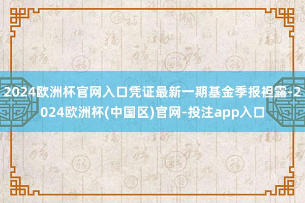 2024欧洲杯官网入口凭证最新一期基金季报袒露-2024欧洲杯(中国区)官网-投注app入口