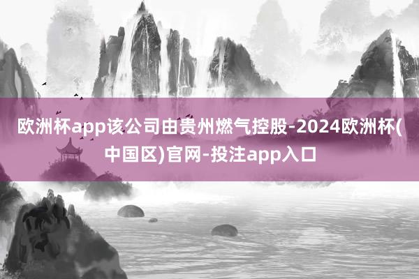 欧洲杯app该公司由贵州燃气控股-2024欧洲杯(中国区)官网-投注app入口