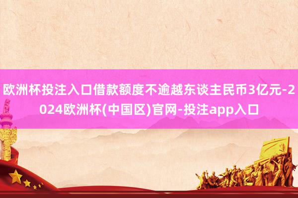 欧洲杯投注入口借款额度不逾越东谈主民币3亿元-2024欧洲杯(中国区)官网-投注app入口