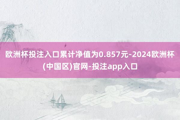 欧洲杯投注入口累计净值为0.857元-2024欧洲杯(中国区)官网-投注app入口