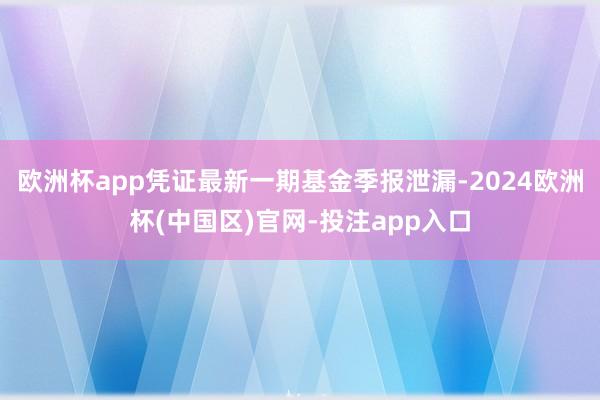 欧洲杯app凭证最新一期基金季报泄漏-2024欧洲杯(中国区)官网-投注app入口