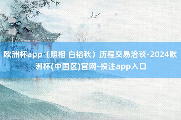 欧洲杯app（照相 白裕秋）历程交易洽谈-2024欧洲杯(中国区)官网-投注app入口