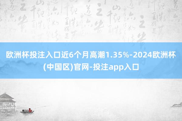 欧洲杯投注入口近6个月高潮1.35%-2024欧洲杯(中国区)官网-投注app入口