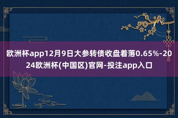 欧洲杯app12月9日大参转债收盘着落0.65%-2024欧洲杯(中国区)官网-投注app入口