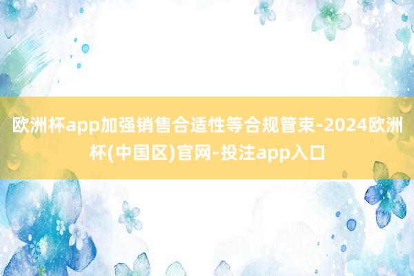 欧洲杯app加强销售合适性等合规管束-2024欧洲杯(中国区)官网-投注app入口