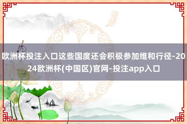 欧洲杯投注入口这些国度还会积极参加维和行径-2024欧洲杯(中国区)官网-投注app入口