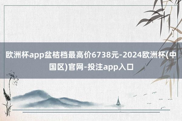 欧洲杯app盆桔档最高价6738元-2024欧洲杯(中国区)官网-投注app入口