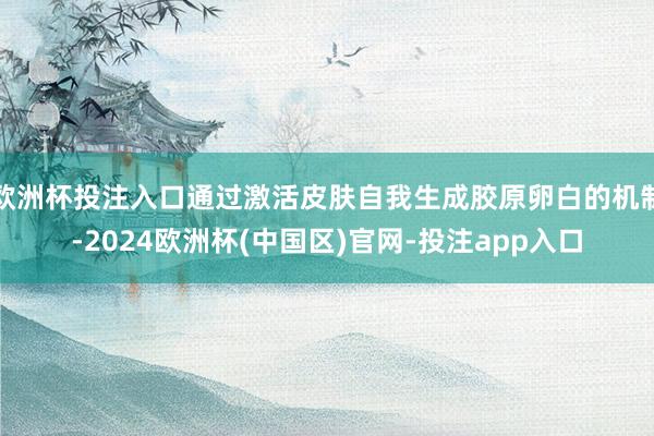 欧洲杯投注入口通过激活皮肤自我生成胶原卵白的机制-2024欧洲杯(中国区)官网-投注app入口