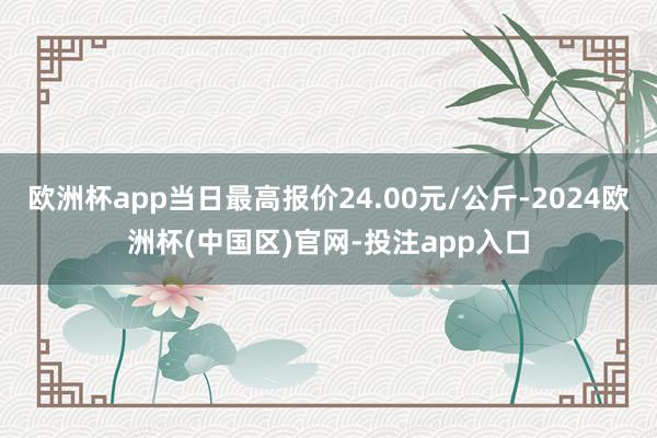 欧洲杯app当日最高报价24.00元/公斤-2024欧洲杯(中国区)官网-投注app入口