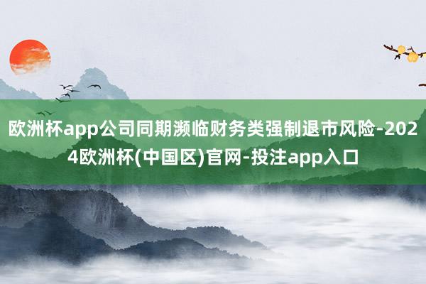 欧洲杯app公司同期濒临财务类强制退市风险-2024欧洲杯(中国区)官网-投注app入口