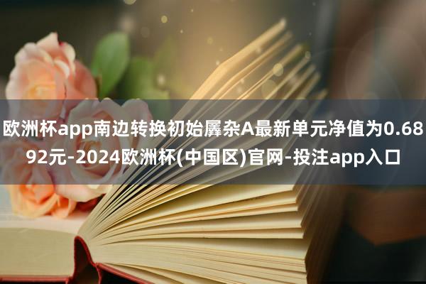 欧洲杯app南边转换初始羼杂A最新单元净值为0.6892元-2024欧洲杯(中国区)官网-投注app入口